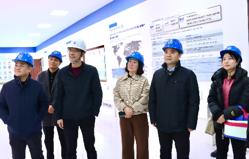 陽(yáng)光電源股份、宜賓智能制造行業(yè)協(xié)會(huì)、宜賓安徽商會(huì)調(diào)研遠(yuǎn)東電纜（宜賓）
